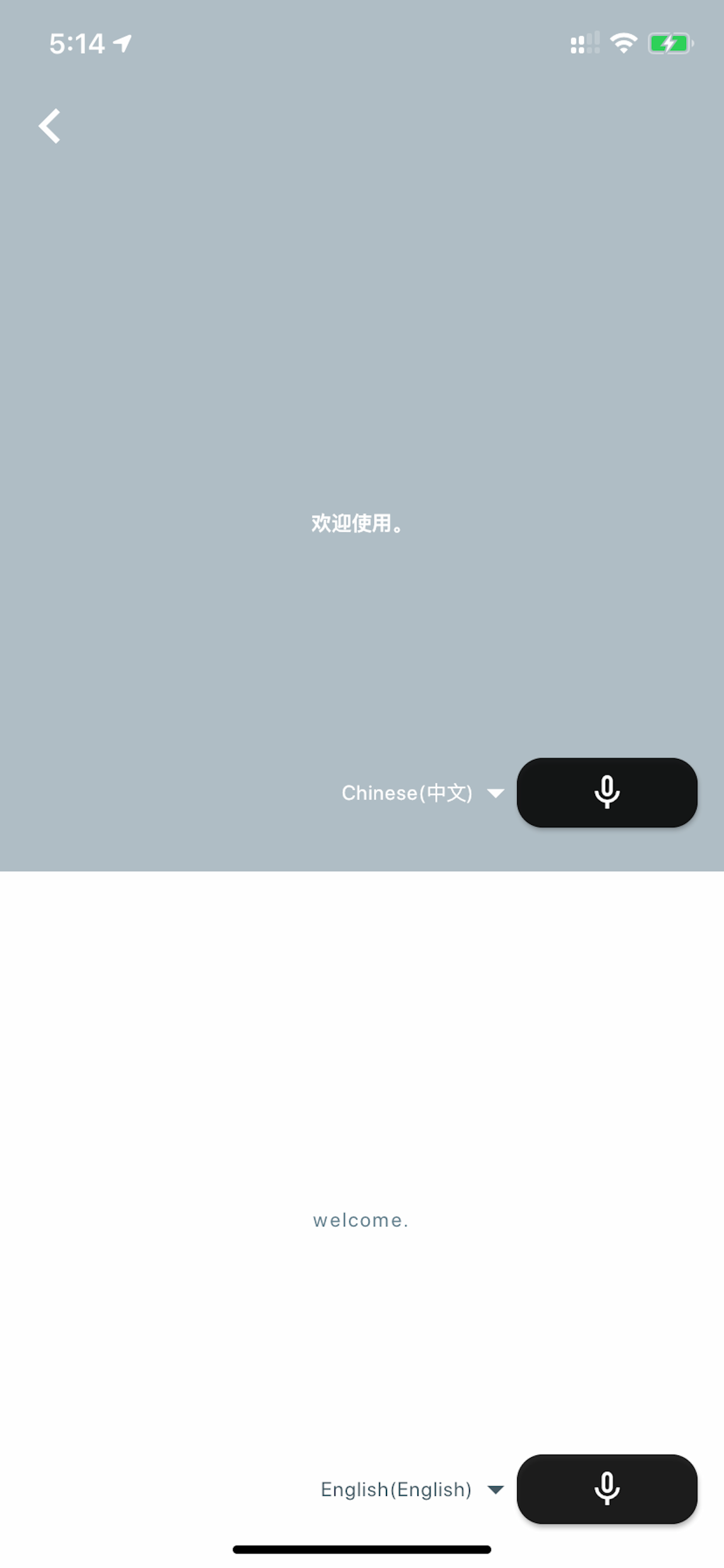 Split-screen voice translation between Chinese and English